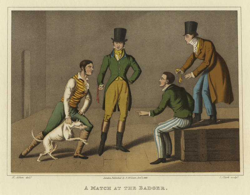 Una partita al tasso da Henry Thomas Alken