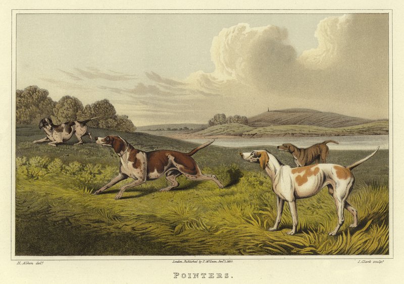 Puntatori da Henry Thomas Alken