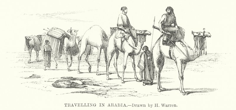 Viaggio in Arabia da Henry (after) Warren