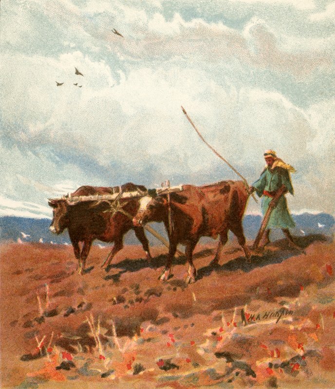 Aratura da Henry Andrew Harper