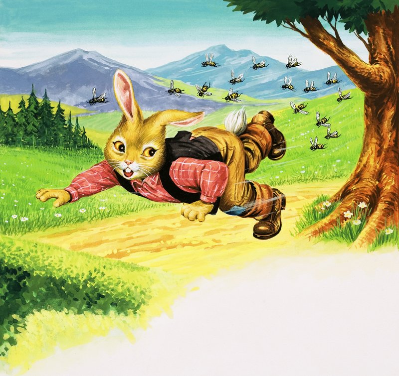 Coniglio Orso da Henry Charles Fox