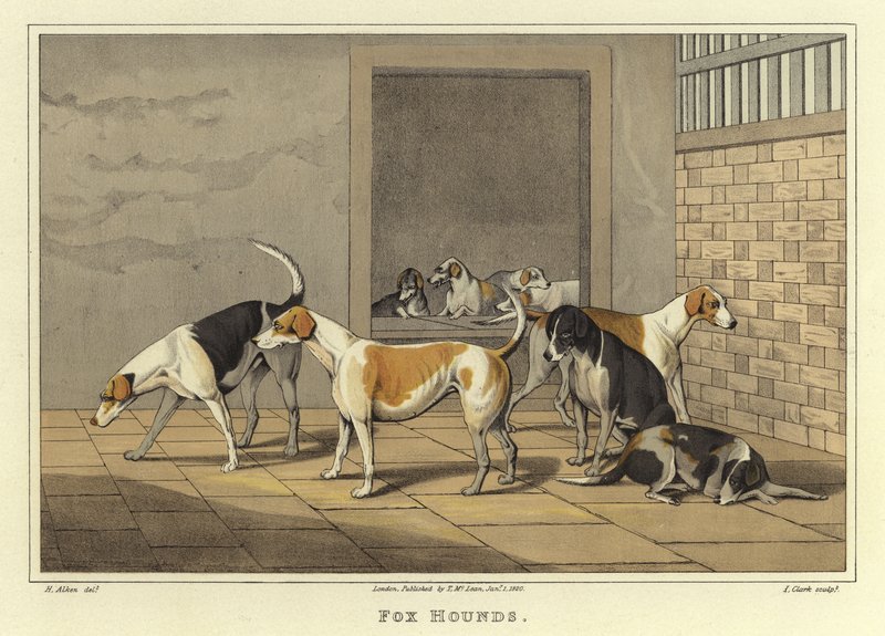 Cani da Caccia da Henry Thomas Alken