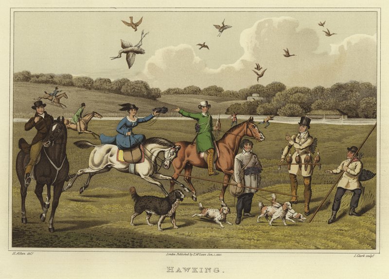 Falconeria da Henry Thomas Alken