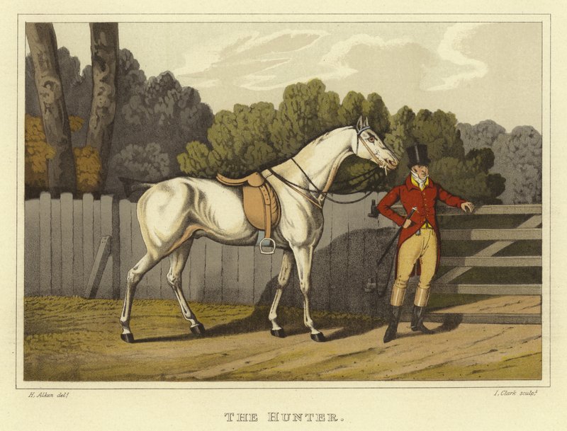 Cacciatore da Henry Thomas Alken