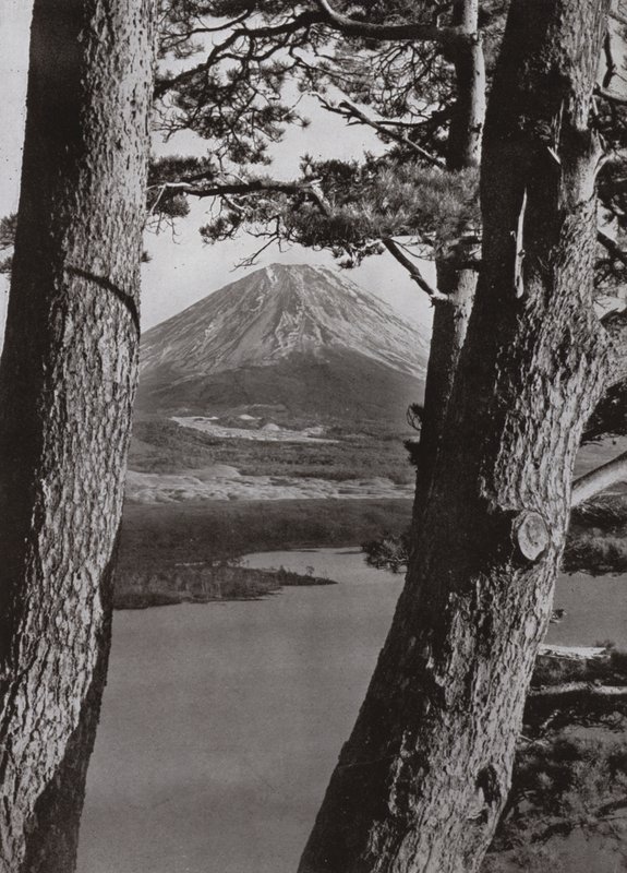 Il Monte Fuji e i Pini da Herbert Ponting