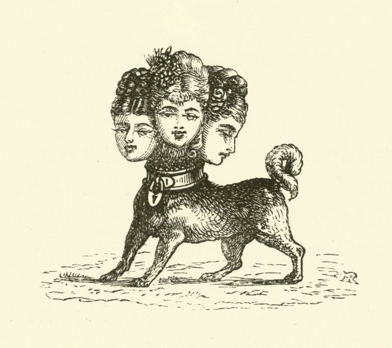Cerbero Femminile da Hugh Rowley