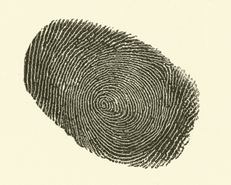 Impronta digitale da Hugh Rowley
