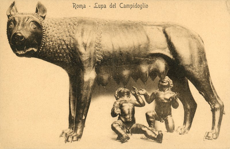 Roma, lupa del Campidoglio da Italian Photographer