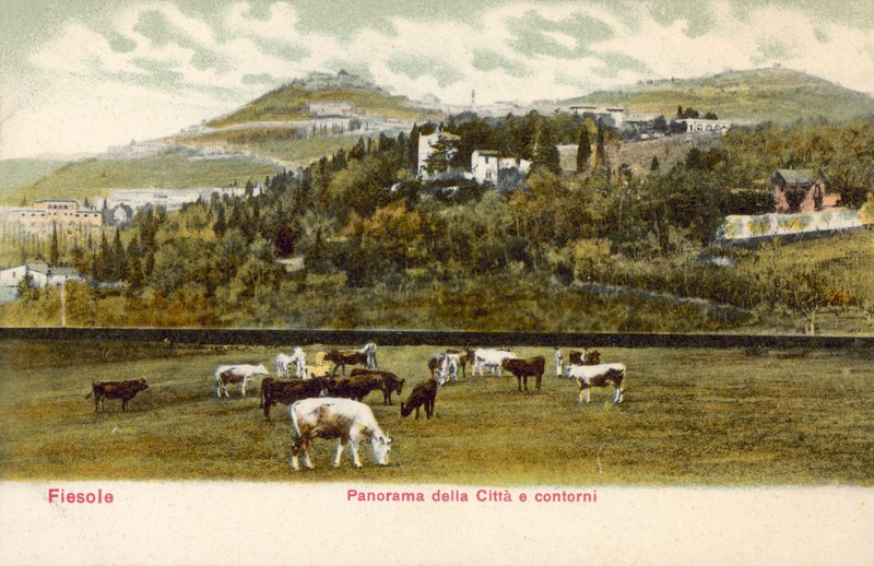 Fiesole, Firenze, Italia da Italian Photographer
