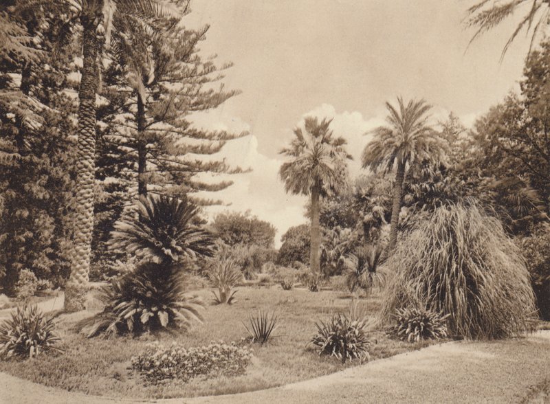 Sicilia / Sicily: Villa Tasca, Palermo (b/w photo) da Italian Photographer