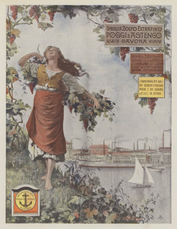 Poggi  Astengo (colour litho) da Italian School