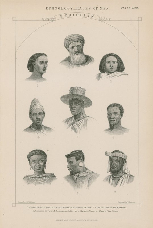 Nove volti di persone etiopi da J.L. Williams