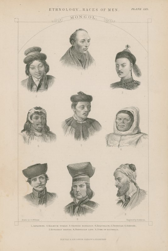 Nove volti di diverse razze mongole da J.L. Williams