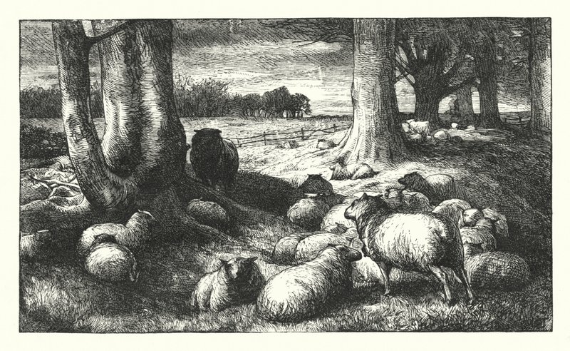 Elegia scritta in un Cimitero di Campagna da James Dawson Watson