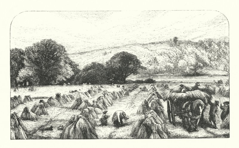 Elegia scritta in un Cimitero di Campagna da James Dawson Watson