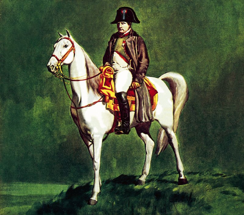 Napoleone sul suo cavallo preferito, il "Marengo". da James Edwin McConnell