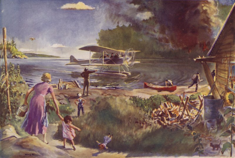 Aeroplano e incendio forestale da James Fergus Kyle