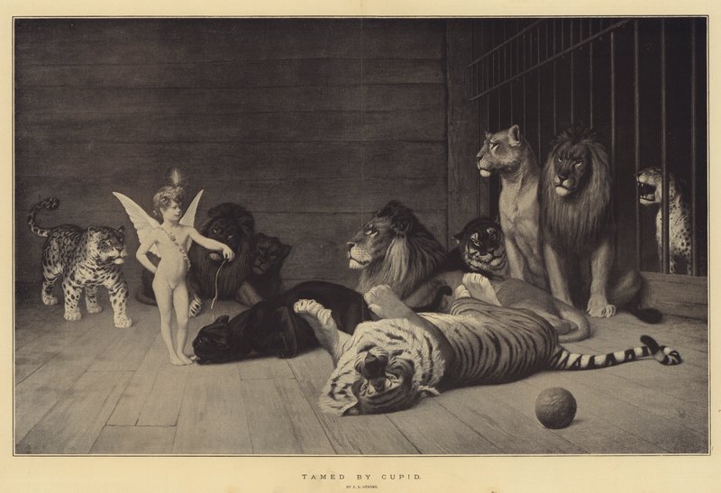 Addomesticato da Cupido da Jean Leon Gerome