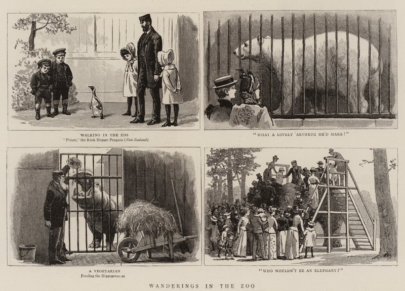 Vagabondaggi nello zoo da John Charles Dollman