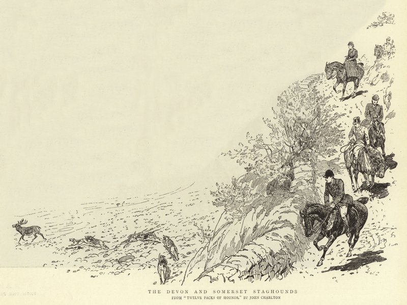 I segugi di cervi del Devon e Somerset da John Charlton