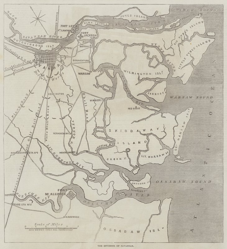 I dintorni di Savannah da John Dower