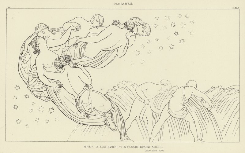 Pleiadi da John Flaxman
