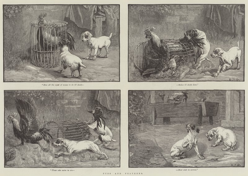 Fuss and Feathers da John Gilbert