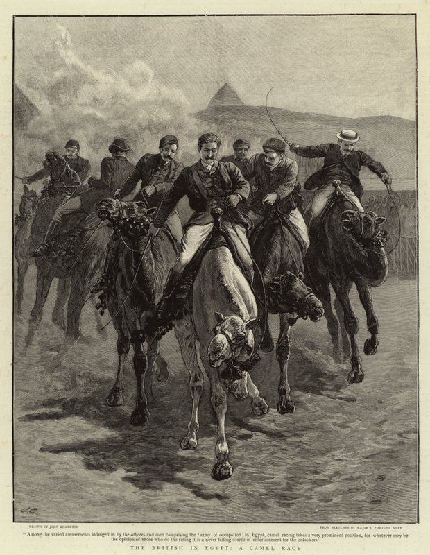 Gli inglesi in Egitto, una corsa di cammelli da John Charlton