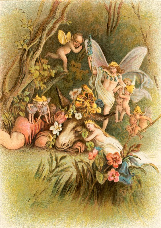 Sogno di una notte di mezza estate da John Gilbert