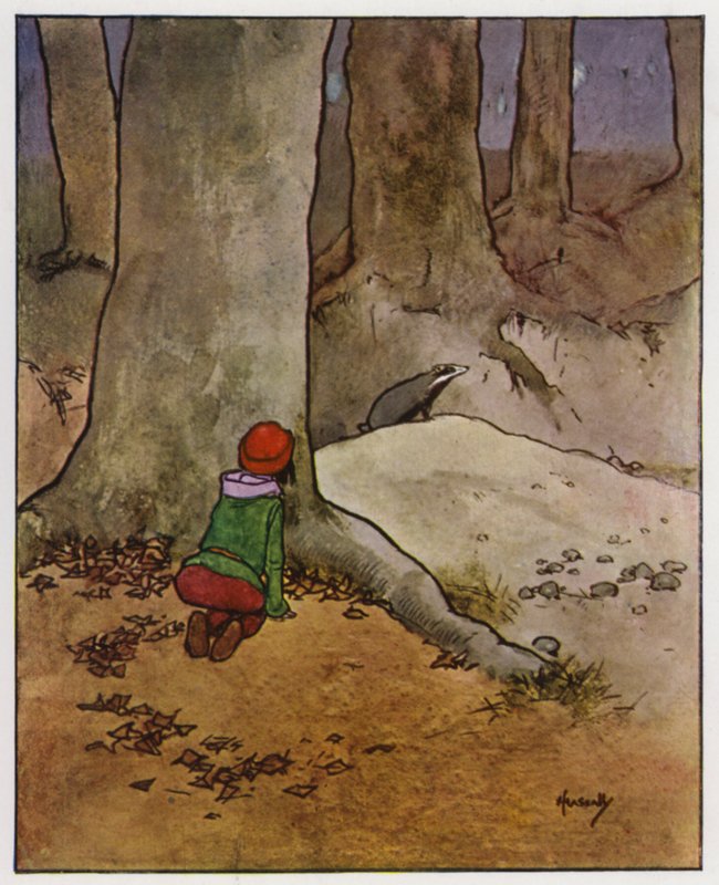 Il tasso da John Hassall