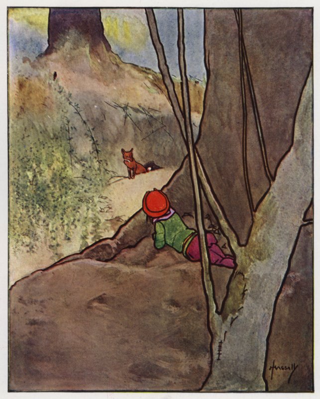 La volpe da John Hassall