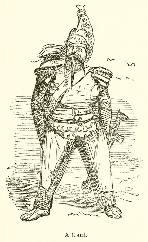 Un gallo da John Leech