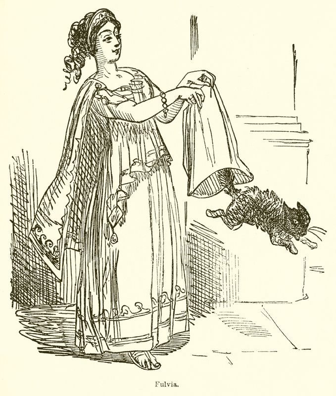 Fulvia da John Leech