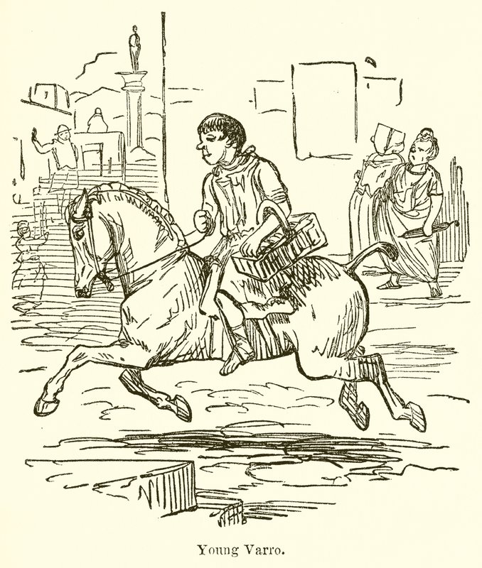 Giovane Varro da John Leech