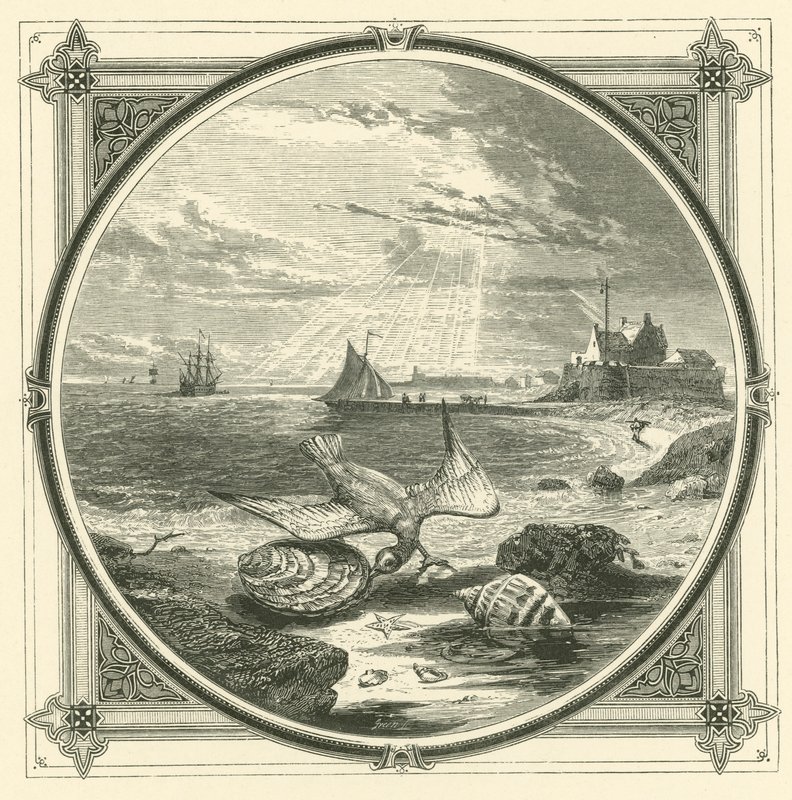 Il mordace morso da John Leighton