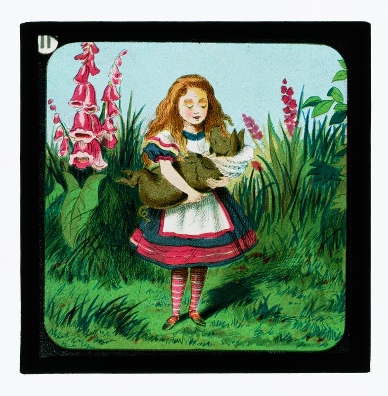 Alice nel Paese delle Meraviglie, diapositive colorate da John Tenniel