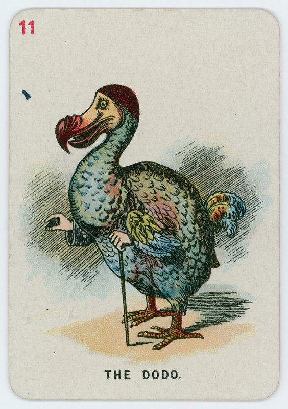 Il dodo da John Tenniel