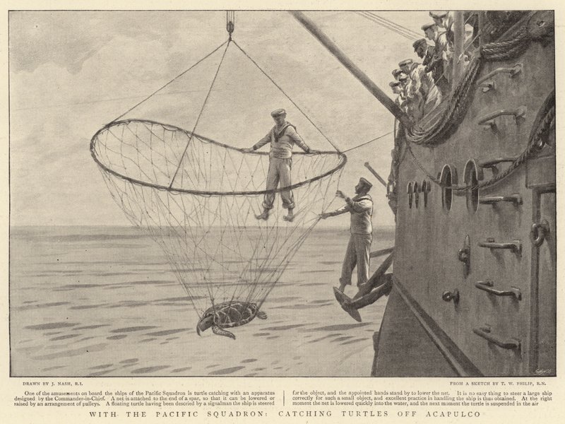 Con lo squadrone del Pacifico, cattura di tartarughe al largo di Acapulco da Joseph Nash