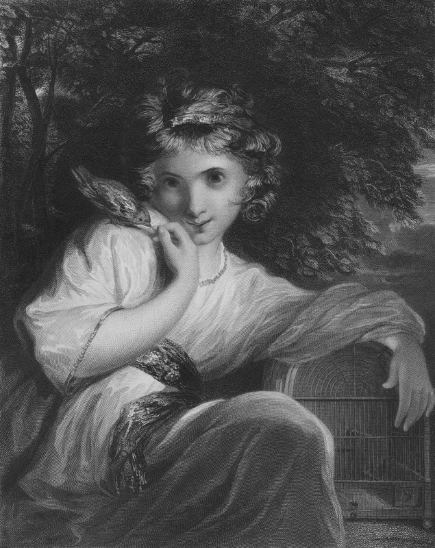 Robinet da Joshua Reynolds