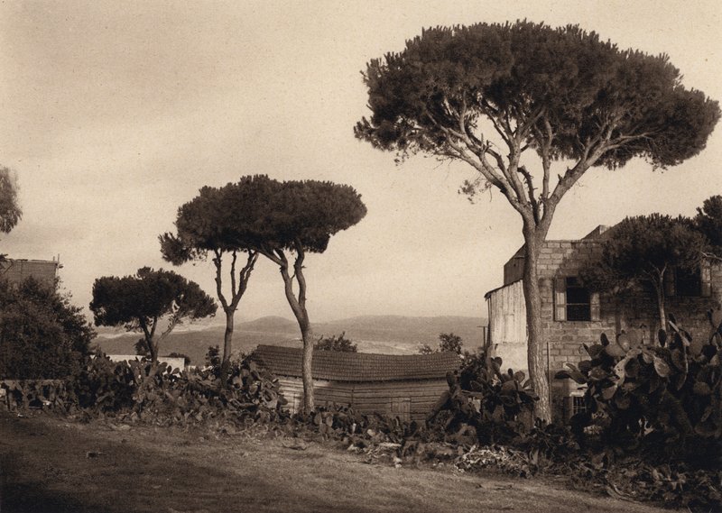 Libano, Paesaggio da Karl Grober