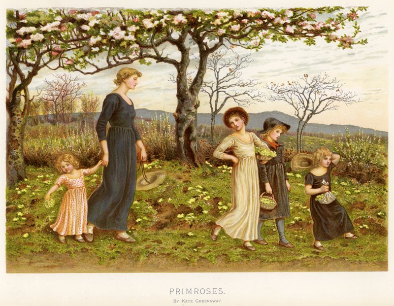 Primule da Kate Greenaway