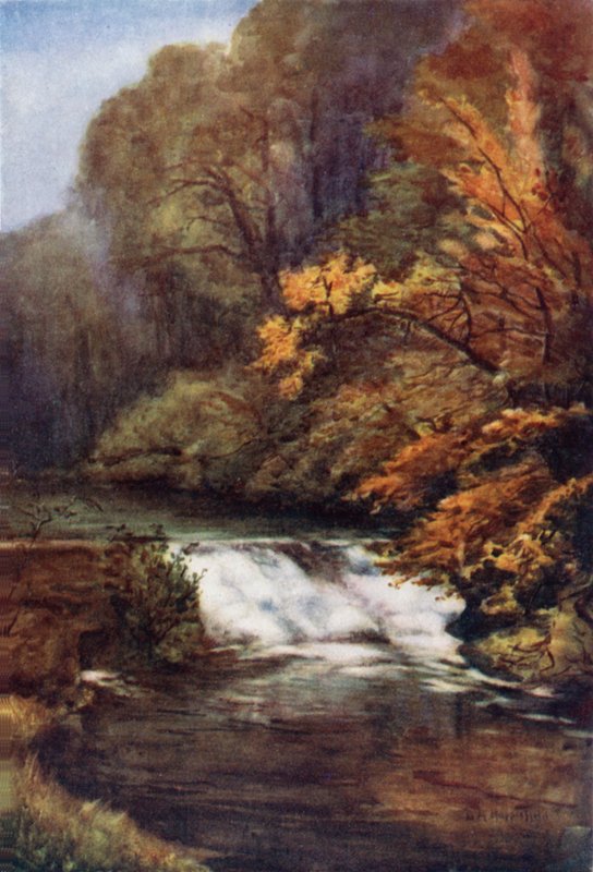 Autunno a Frenchay da Laura Annie Happerfield