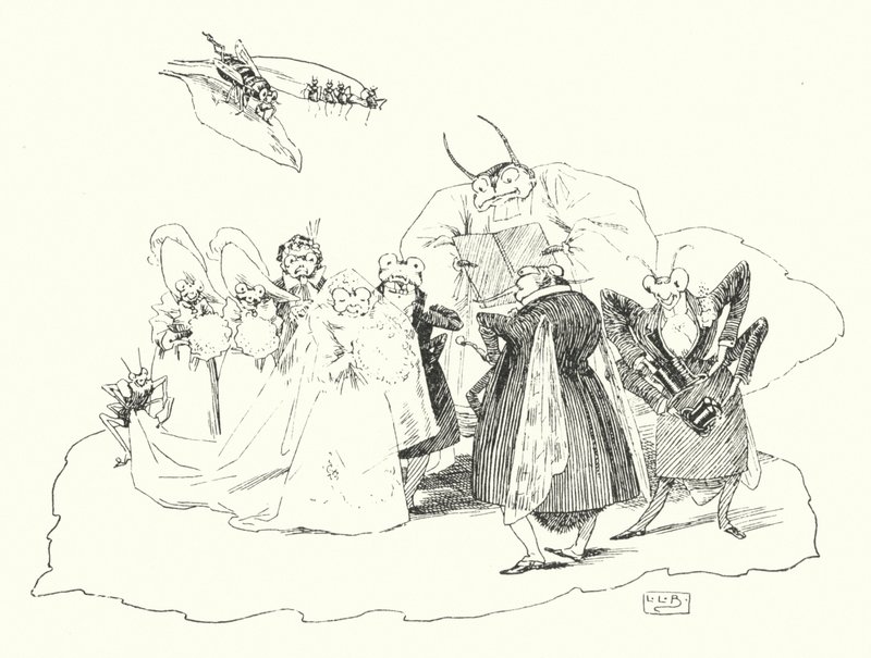 Fiddle-de-dee, fiddle-de-dee (incisione) da Leonard Leslie Brooke