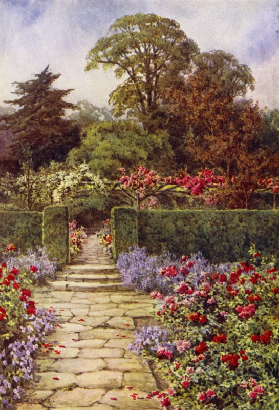 Il sentiero delle rose da Lilian Stannard
