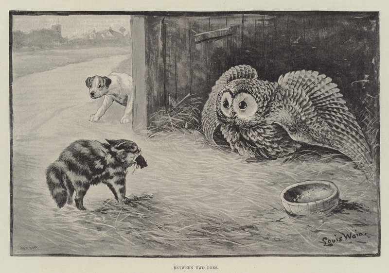 Tra due nemici da Louis Wain