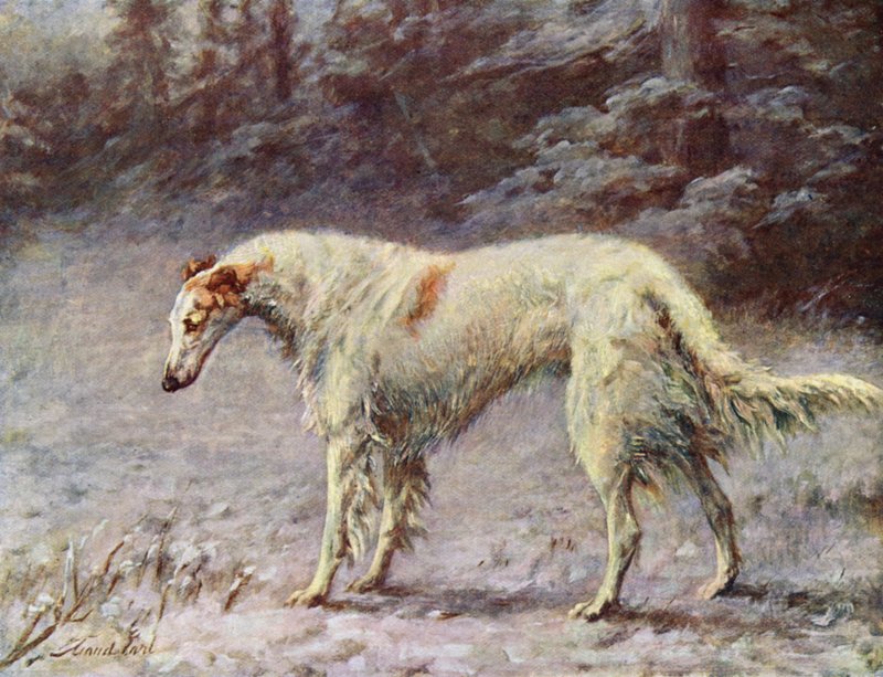 Campione Ivan Turgeneff da Maud Earl