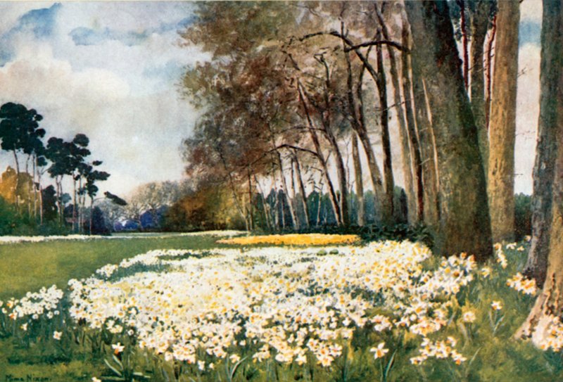 Il Parco, Sandringham da Mima Nixon