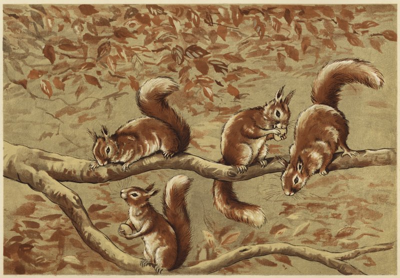 Gruppo familiare da N. Parker