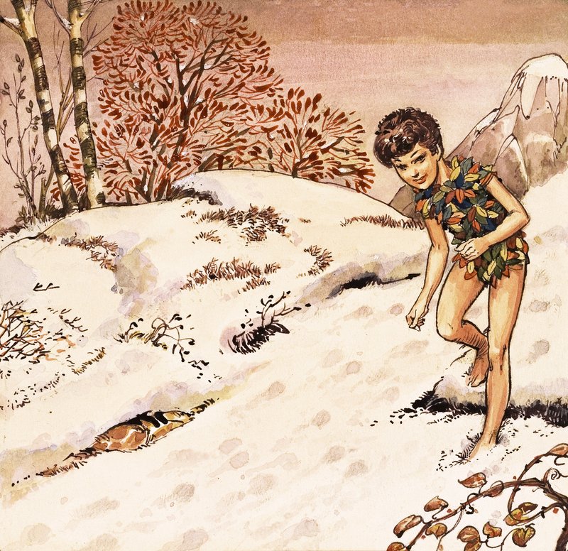 Peter Pan da Nadir Quinto