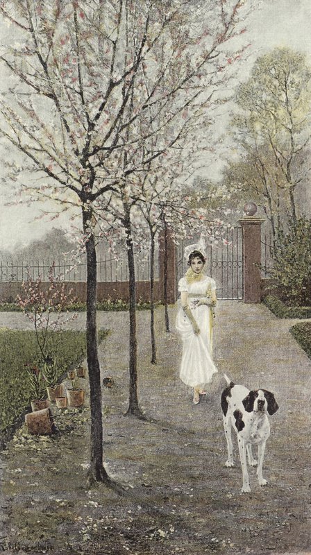 Fiori di primavera da Nicolaus Geiger